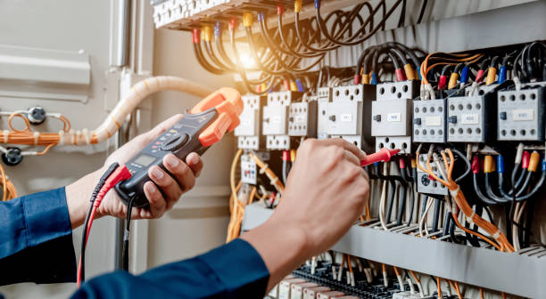 Best Electric Panel Repair  in Hallettsville, TX